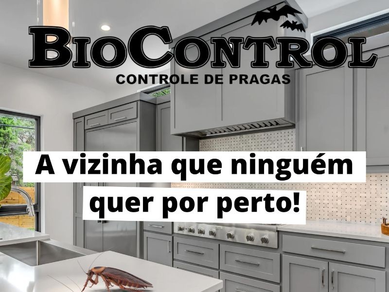 Dedetização e Controle de Baratas: Soluções Eficazes com a BioControl Dedetizadora de Porto Alegre e Canoas